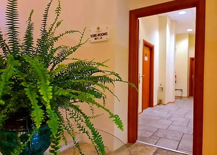 Hotel Stara Sola - Oleander Resort
