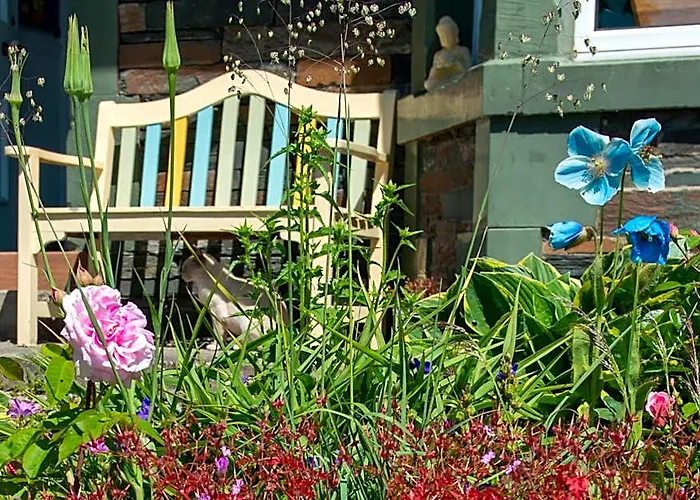 The Mount B&B