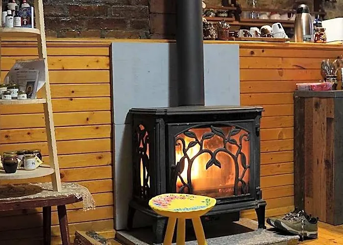 Cabana "Trei Brazi " Retezat