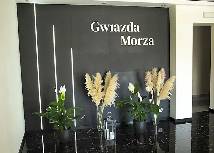 Gwiazda Morza