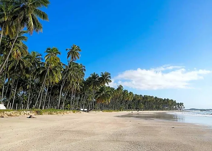 Carneiros Paradiso