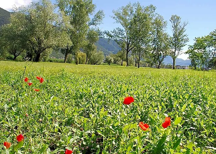 Costa Verde Natura