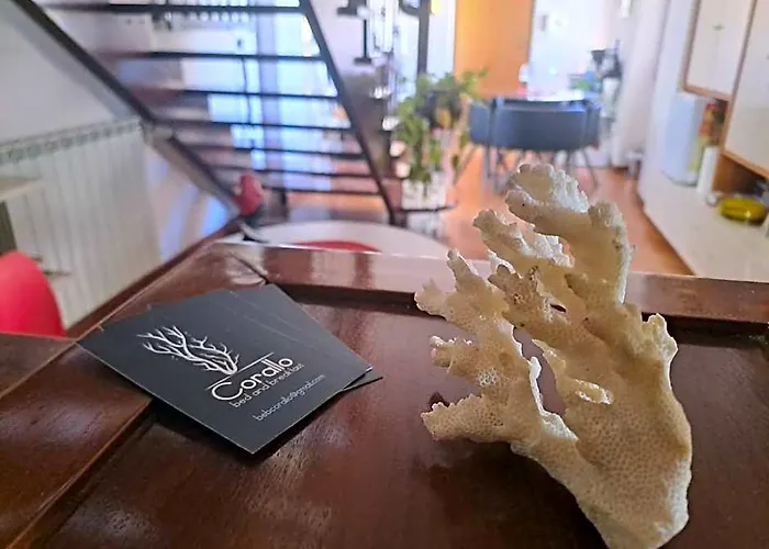 B&B Corallo