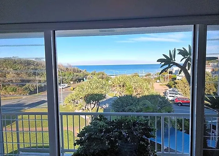 Pandanus Coolum Beach