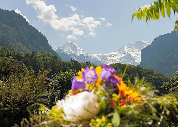 Jungfrau Alpine Inn