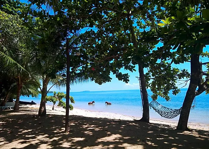 Cashew Grove Beach Resort