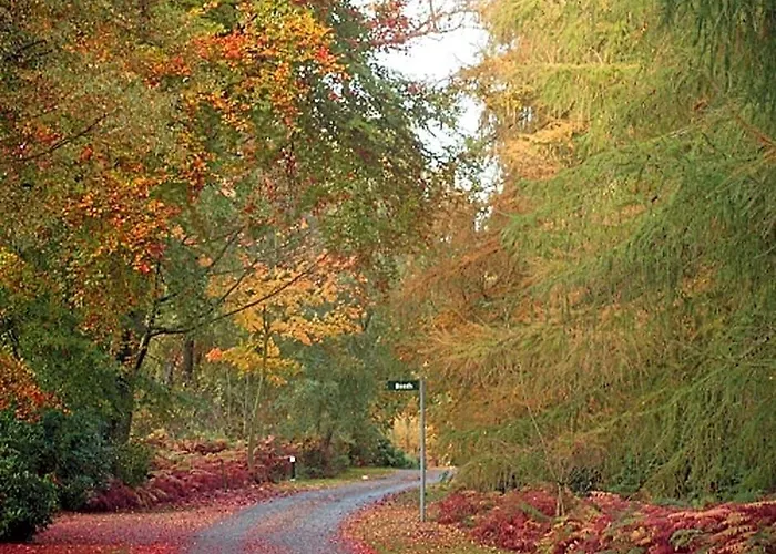 Hollicarrs - Lilypad Lodge