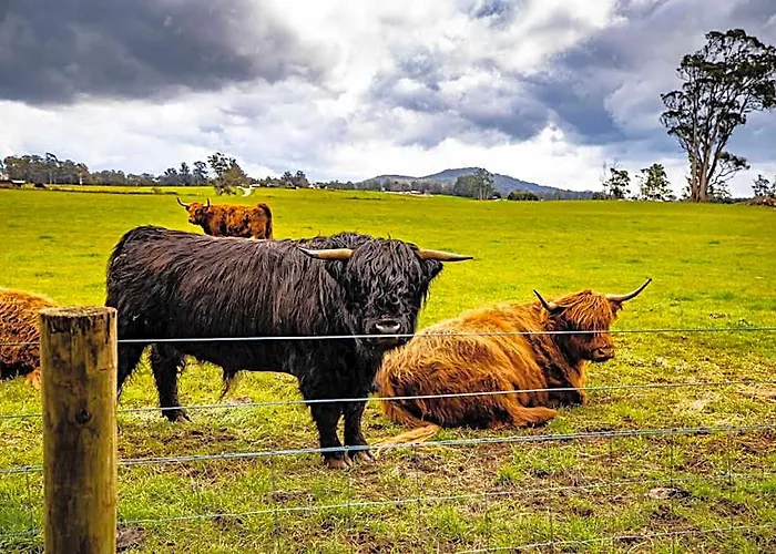 Glencoe Country Bed And Breakfast
