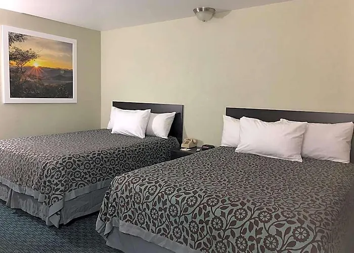 Elevation Lodge