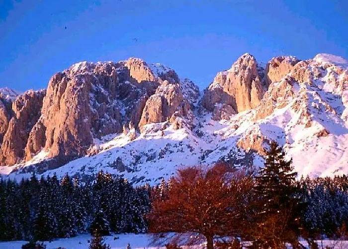 Hotel Prealpi