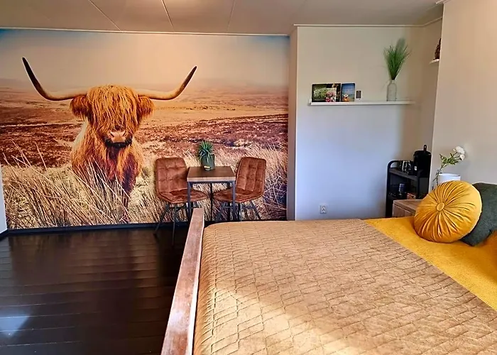 De Schotse Hooglander