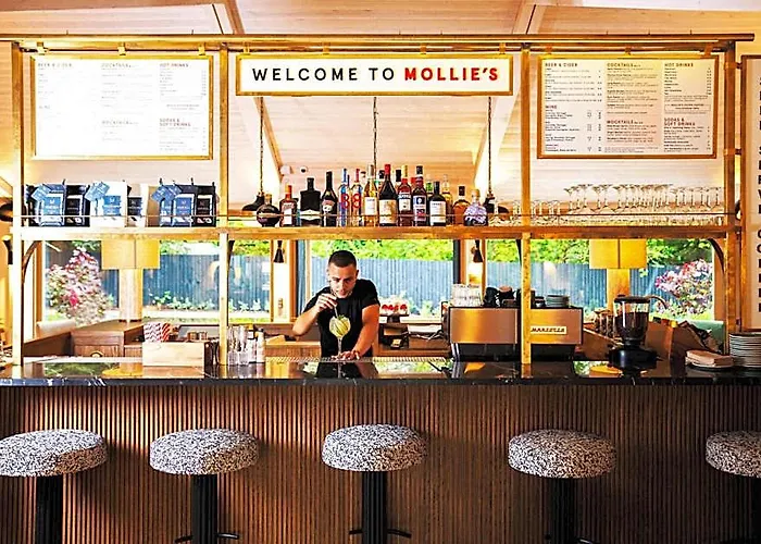 Mollie'S Bristol