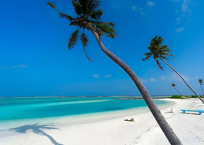 Silver Oasis Maldives