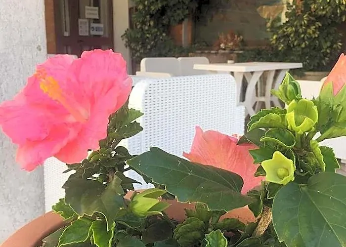 Hotel Pino Loricato