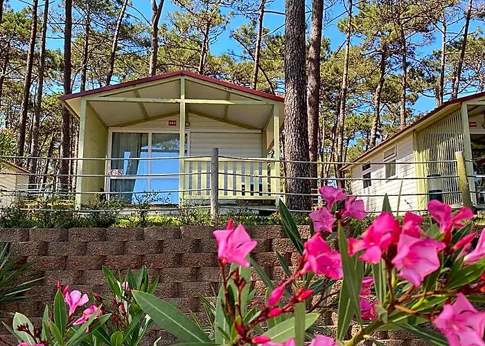 Parque De Campismo Orbitur Valado