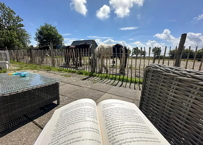 Het Tinkerparadijs, paarden, rust en ruimte.