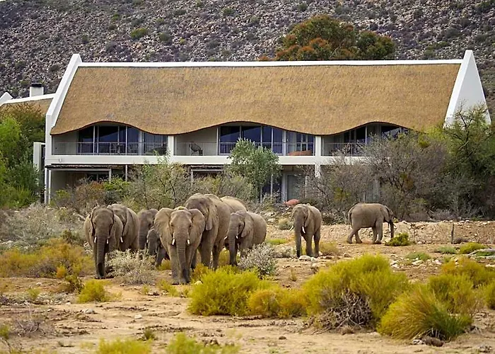Sanbona Wildlife Reserve