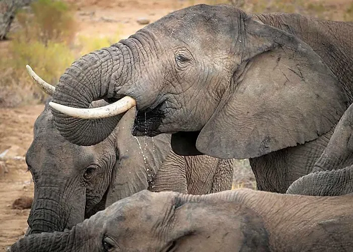 Sanbona Wildlife Reserve