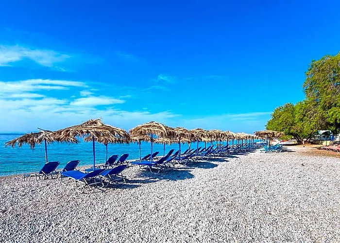 Sun Hotel Kineta Beach Front