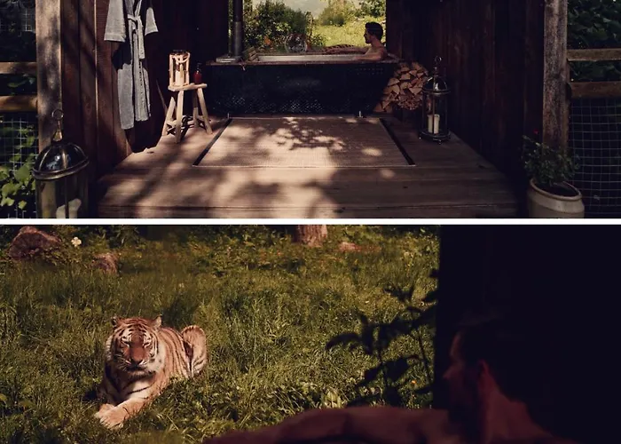Tiger Lodge - At Port Lympne Hotel & Reserve