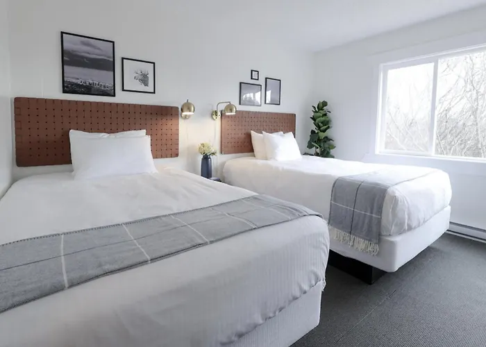 The Moosetide Hotel