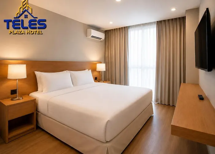 Teles Plaza Hotel