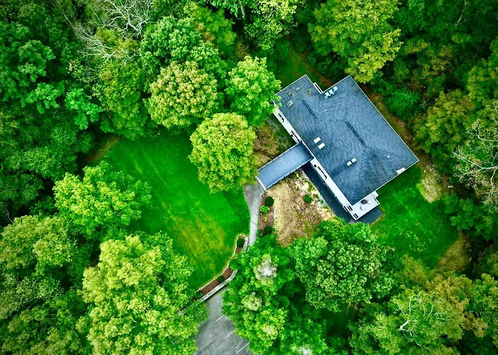 The Harlow House