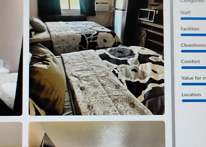 The Suite