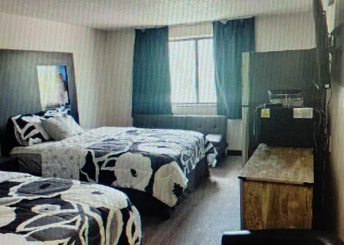 The Suite
