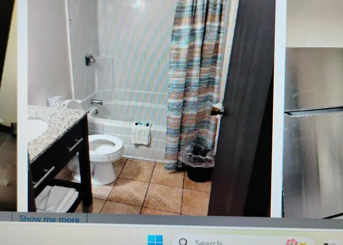 The Suite