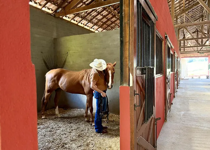 The Barn Experience - Mantiqueira