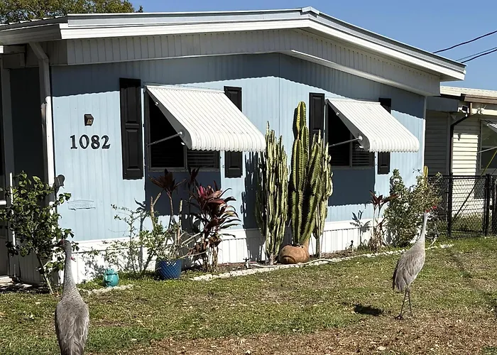 The Lake House