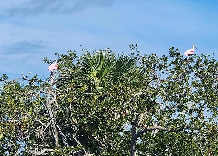 East Flamingo Hideaway
