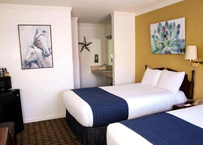 Hotel Lumberjack