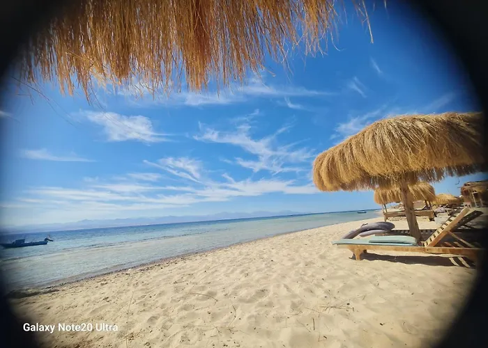 Viva La Vida Beach Camp