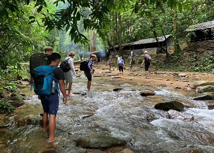 Gino'S Jungle Lodge - Restaurant & Jungle Trekking