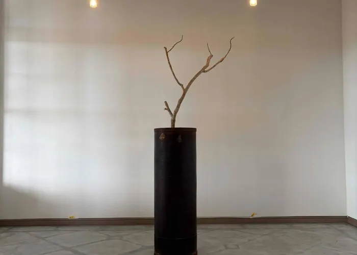 M'S Hotel & Dining