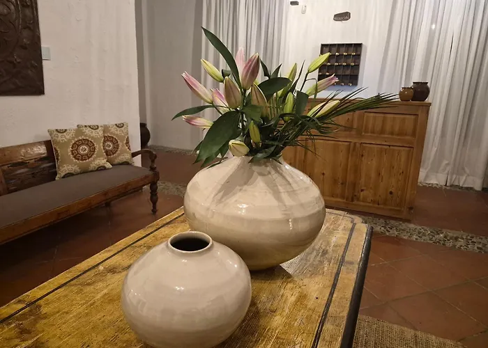 El Linar