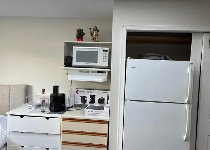 Private Suite , Private Bath , 10 Min To Downtown