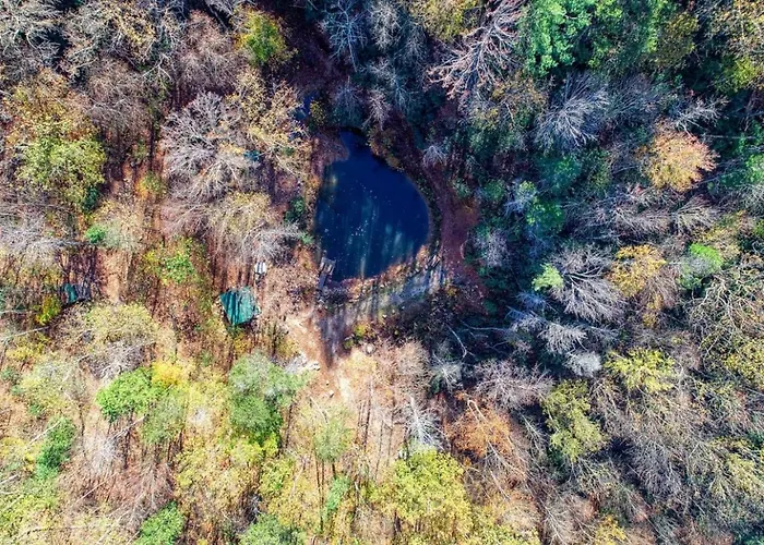 Tiny Fox Pond Side Retreat With Forest Views