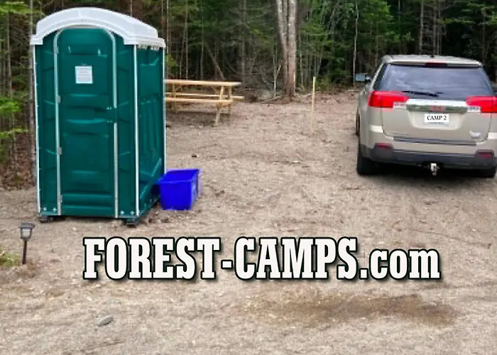 Forest Camps