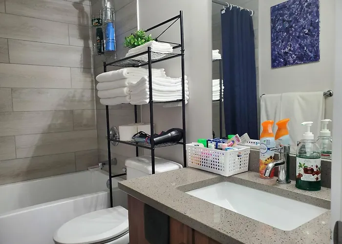 Plush Suite Pet Friendly 326 Mbps Wi-Fi