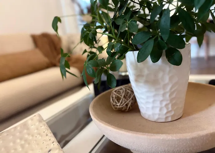 Tranquil Suite Studio