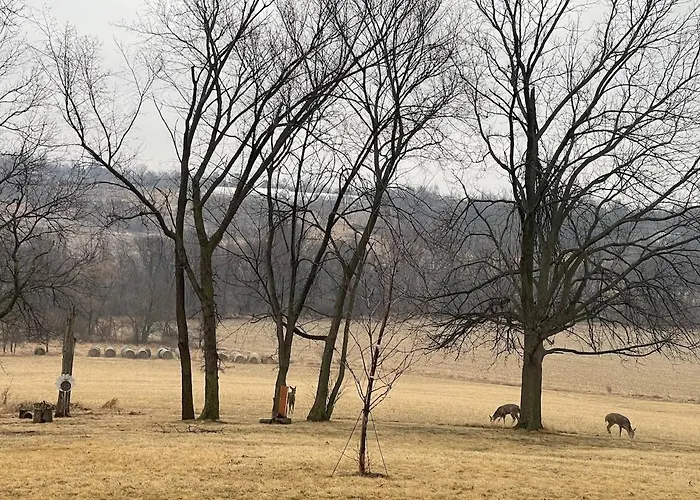 Timber Hill Sanctuary Quiet 34-Acre Getaway