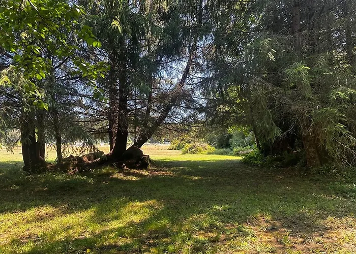 Redwood Retreat