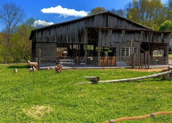 Cozy A-Frame Retreat With Creekside Hammock Getaway In Newport, Tennessee