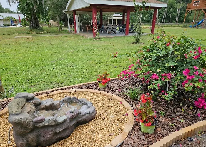 With Tree House, Surprising Tropical-Style Resort