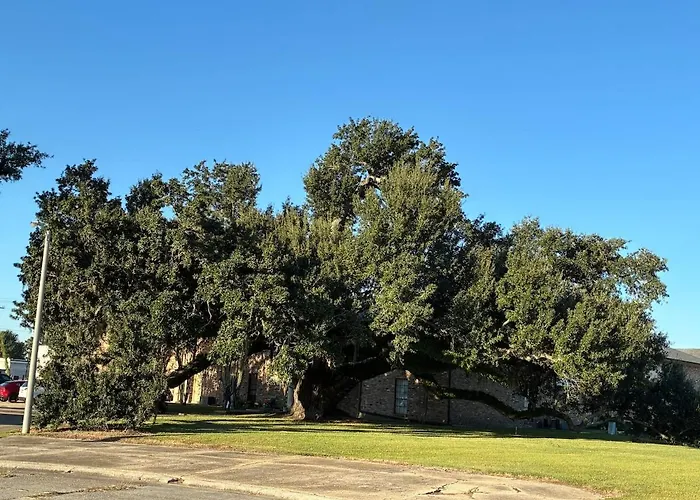 The Gumbo Getaway Near Downtown Houma And Nola