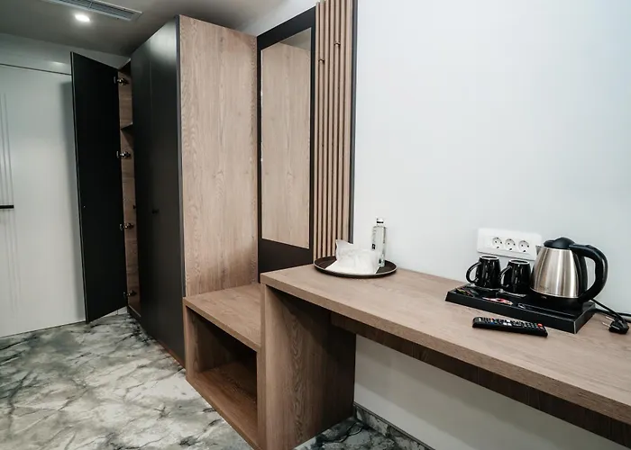 Airport Hotel - Baia Mare - Maramures