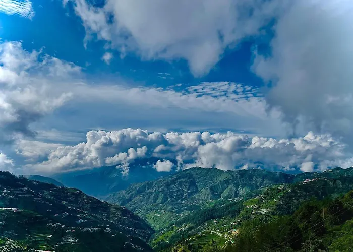 The Prakriti Resort Shimla L Lift L Multi Cuisine Restaurant L Free Parking L By Exotic Stays